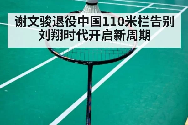 谢文骏退役中国110米栏告别刘翔时代开启新周期